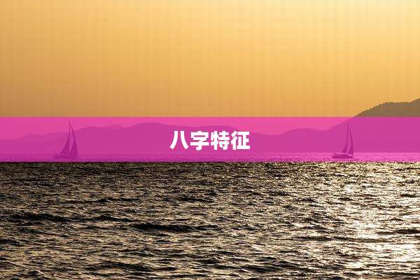 八字特征