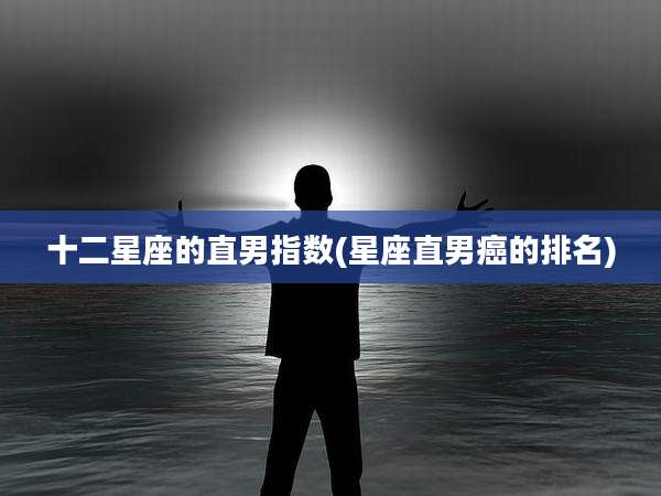 十二星座的直男指数(星座直男癌的排名)