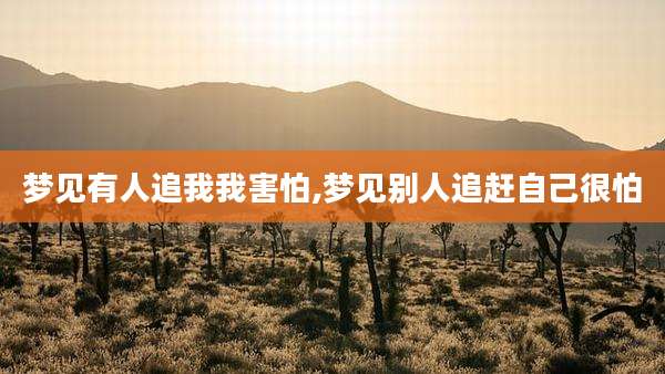 梦见有人追我我害怕,梦见别人追赶自己很怕