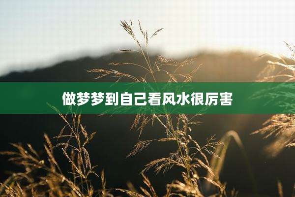做梦梦到自己看风水很厉害