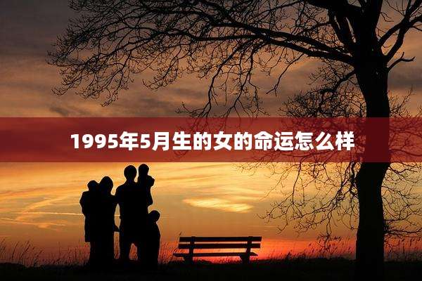 1995年5月生的女的命运怎么样