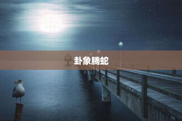 卦象腾蛇