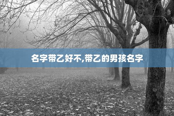 名字带乙好不,带乙的男孩名字