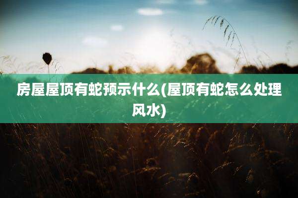 房屋屋顶有蛇预示什么(屋顶有蛇怎么处理风水)