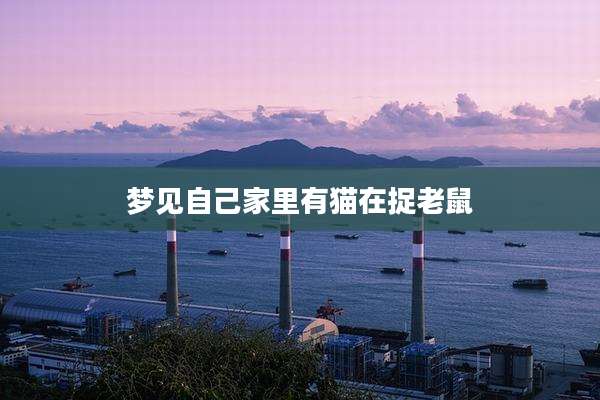梦见自己家里有猫在捉老鼠