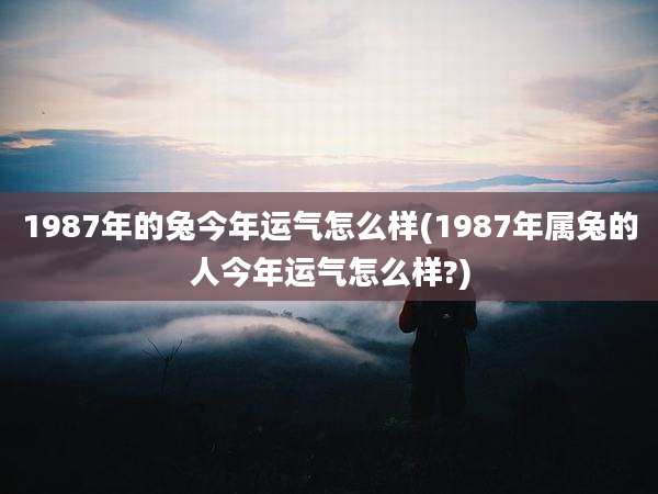 1987年的兔今年运气怎么样(1987年属兔的人今年运气怎么样?)