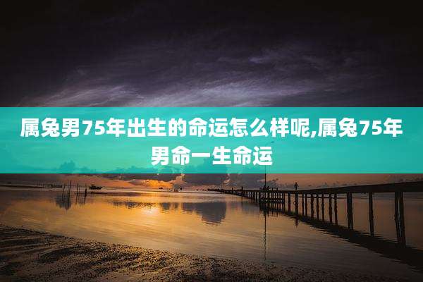 属兔男75年出生的命运怎么样呢,属兔75年男命一生命运