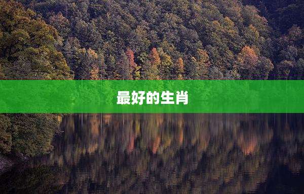 最好的生肖