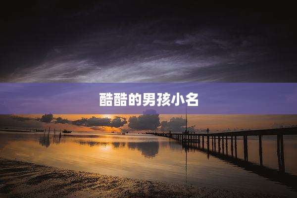 酷酷的男孩小名