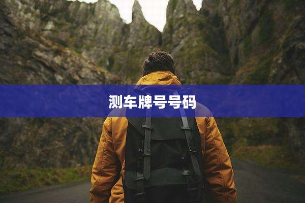 测车牌号号码