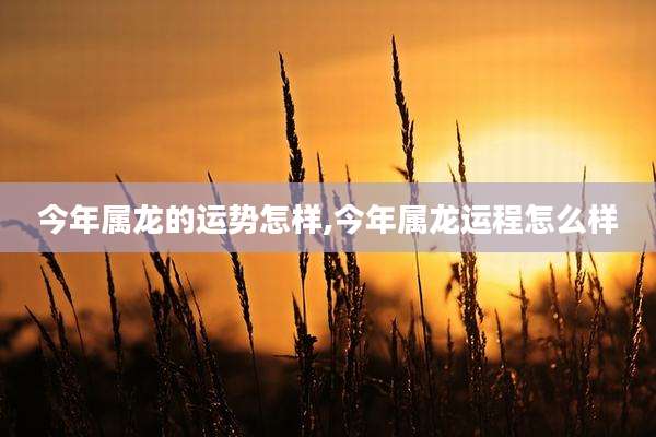 今年属龙的运势怎样,今年属龙运程怎么样