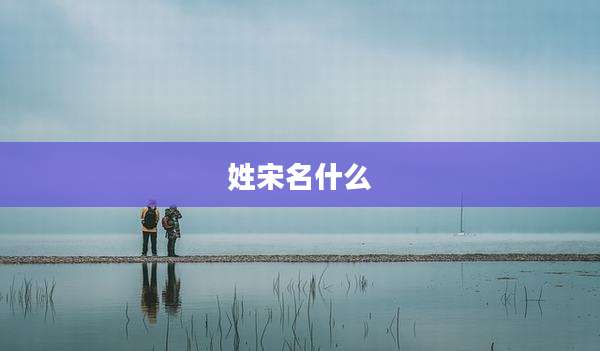姓宋名什么