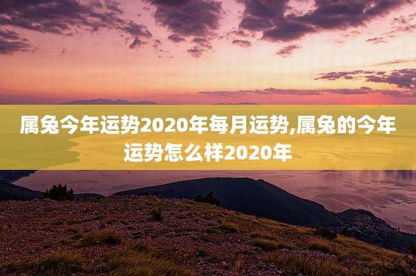 属兔今年运势2020年每月运势,属兔的今年运势怎么样2020年