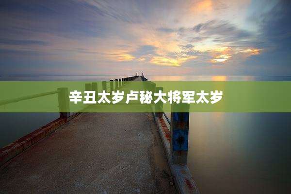 辛丑太岁卢秘大将军太岁