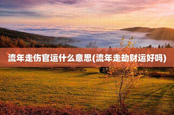 流年走伤官运什么意思(流年走劫财运好吗)