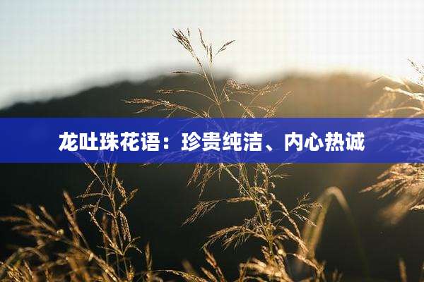 龙吐珠花语：珍贵纯洁、内心热诚