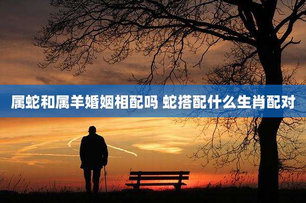 属蛇和属羊婚姻相配吗 蛇搭配什么生肖配对