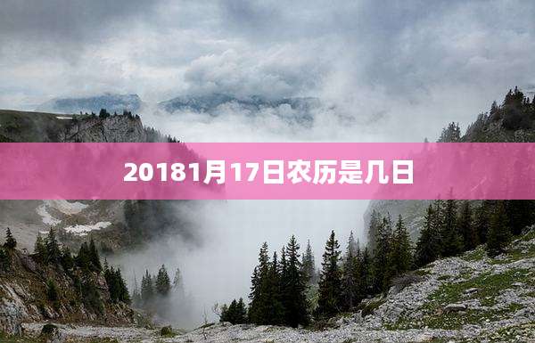 20181月17日农历是几日