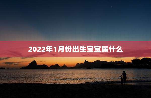 2022年1月份出生宝宝属什么