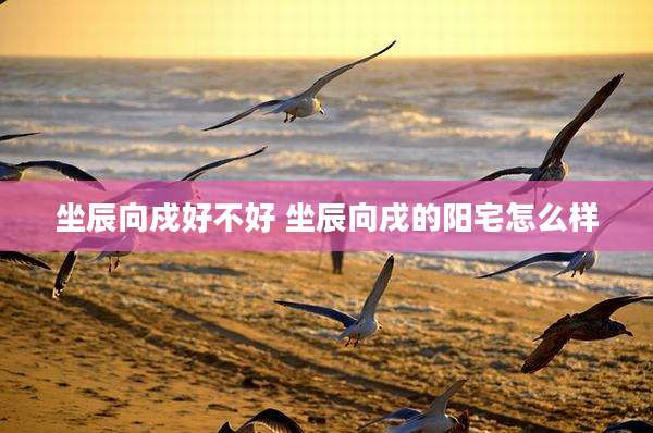 坐辰向戍好不好 坐辰向戌的阳宅怎么样