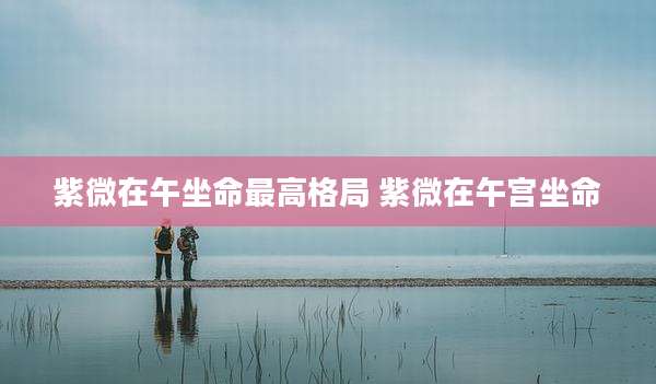 紫微在午坐命最高格局 紫微在午宫坐命