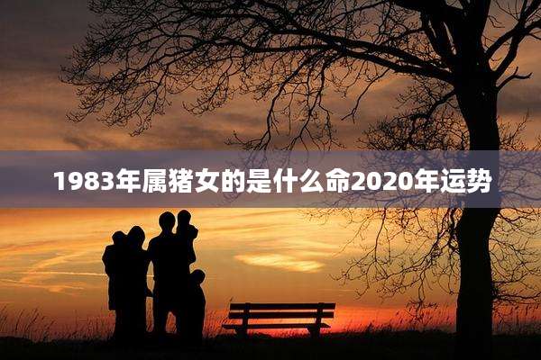 1983年属猪女的是什么命2020年运势