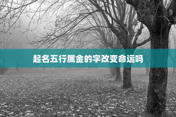 起名五行属金的字改变命运吗