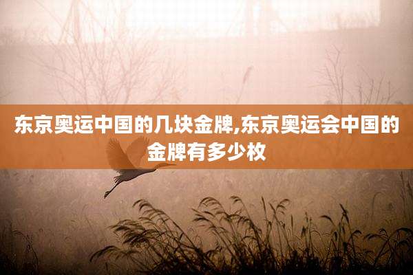 东京奥运中国的几块金牌,东京奥运会中国的金牌有多少枚