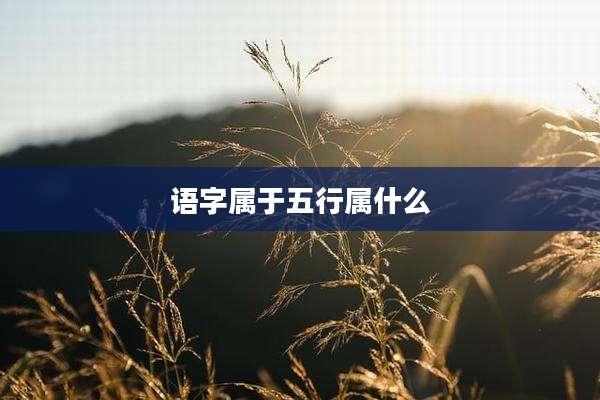 语字属于五行属什么