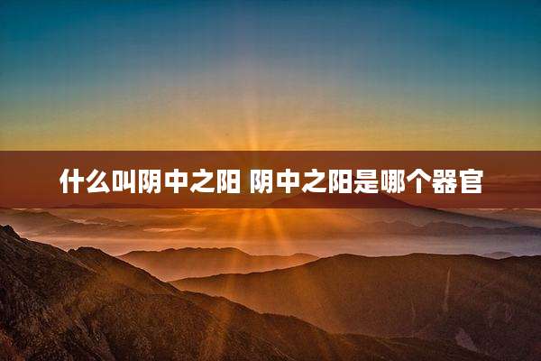 什么叫阴中之阳 阴中之阳是哪个器官