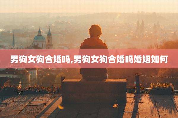 男狗女狗合婚吗,男狗女狗合婚吗婚姻如何