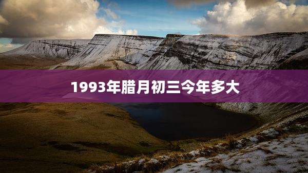 1993年腊月初三今年多大