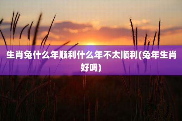 生肖兔什么年顺利什么年不太顺利(兔年生肖好吗)
