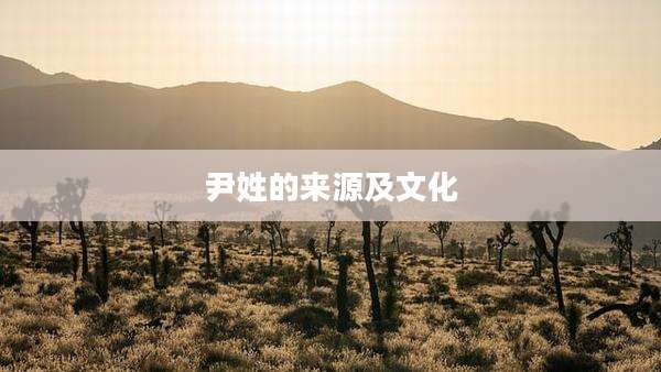 尹姓的来源及文化