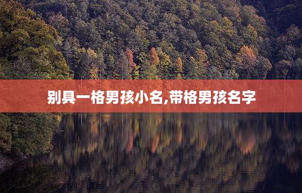 别具一格男孩小名,带格男孩名字