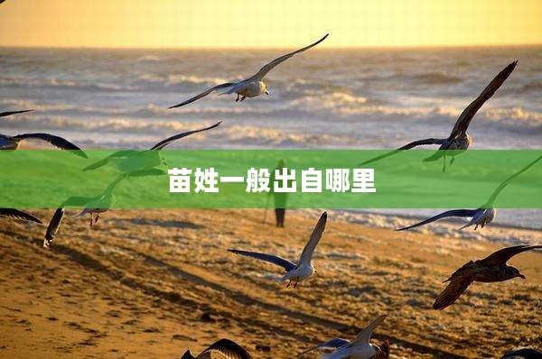 苗姓一般出自哪里