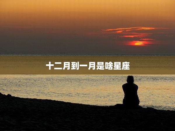 十二月到一月是啥星座