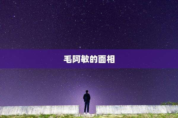 毛阿敏的面相