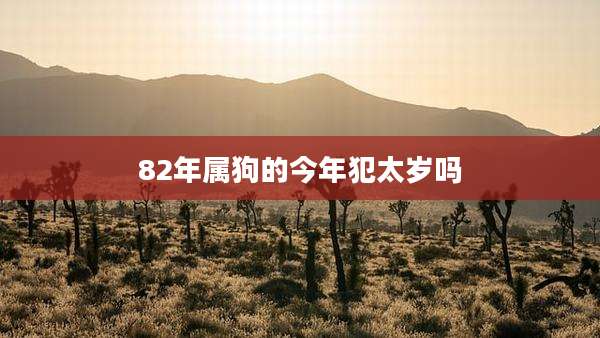 82年属狗的今年犯太岁吗