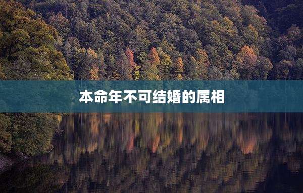 本命年不可结婚的属相