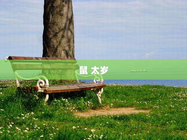 鼠 太岁