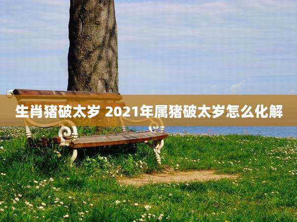 生肖猪破太岁 2021年属猪破太岁怎么化解