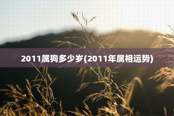 2011属狗多少岁(2011年属相运势)