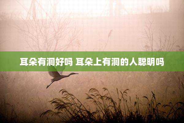 耳朵有洞好吗 耳朵上有洞的人聪明吗