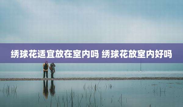 绣球花适宜放在室内吗 绣球花放室内好吗
