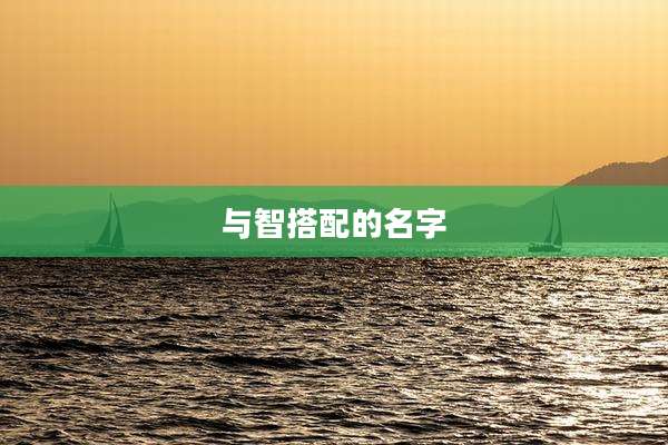 与智搭配的名字