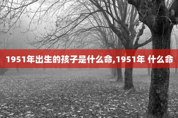 1951年出生的孩子是什么命,1951年 什么命
