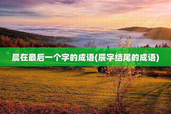 晨在最后一个字的成语(辰字结尾的成语)