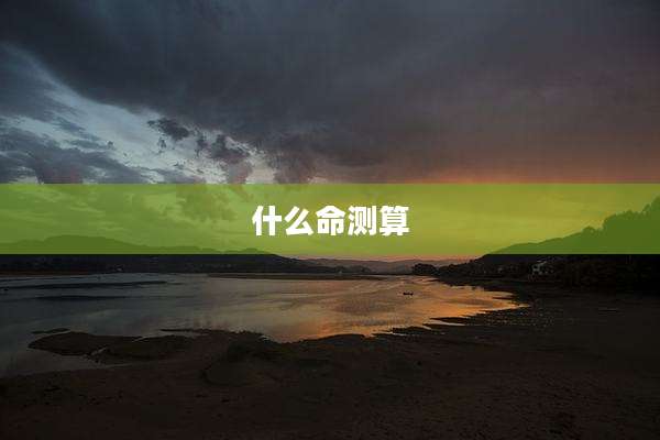 什么命测算