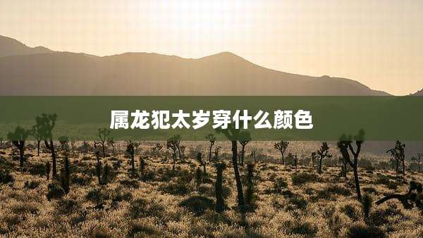 属龙犯太岁穿什么颜色